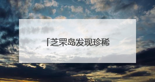 芝罘岛发现珍稀牛背鹭！政民携手护生灵重返自然