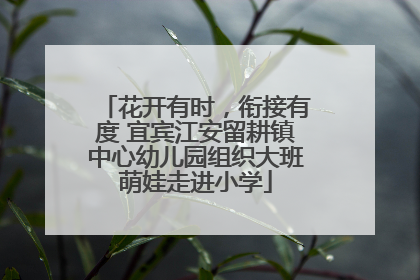 花开有时，衔接有度 宜宾江安留耕镇中心幼儿园组织大班萌娃走进小学