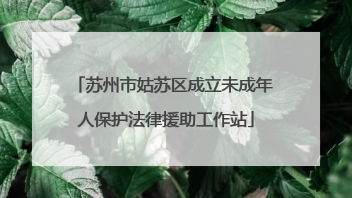 苏州市姑苏区成立未成年人保护法律援助工作站