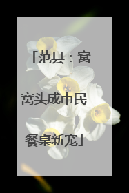 范县：窝窝头成市民餐桌新宠