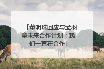 董明珠回应与孟羽童未来合作计划：我们一直在合作