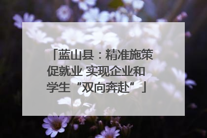 蓝山县：精准施策促就业 实现企业和学生“双向奔赴”