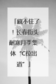 藏不住了！长春街头耐寒月季集体“C位出道”