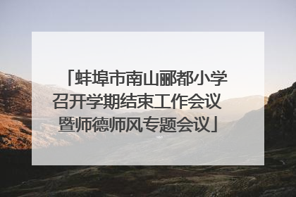 蚌埠市南山郦都小学召开学期结束工作会议暨师德师风专题会议