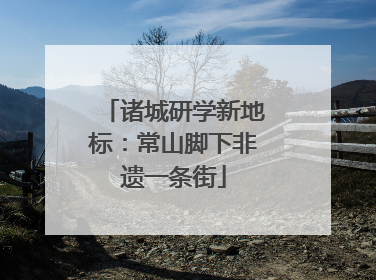 诸城研学新地标：常山脚下非遗一条街