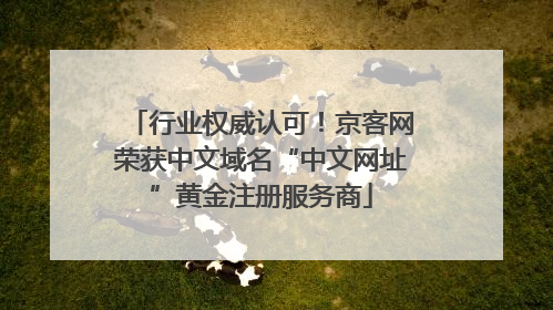 行业权威认可！京客网荣获中文域名“中文网址”黄金注册服务商