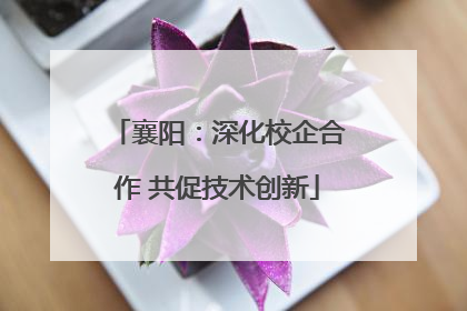 襄阳：深化校企合作 共促技术创新