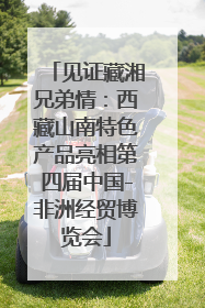 见证藏湘兄弟情：西藏山南特色产品亮相第四届中国-非洲经贸博览会