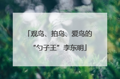 观鸟、拍鸟、爱鸟的“勺子王”李东明
