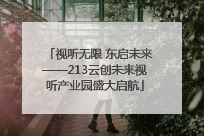 视听无限 东启未来——213云创未来视听产业园盛大启航