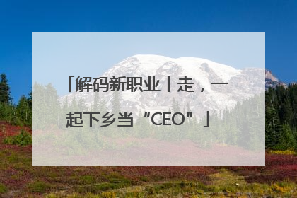 解码新职业丨走，一起下乡当“CEO”