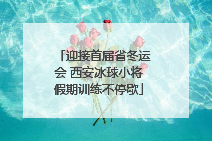 迎接首届省冬运会 西安冰球小将假期训练不停歇