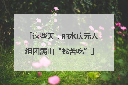 这些天，丽水庆元人组团满山“找苦吃”