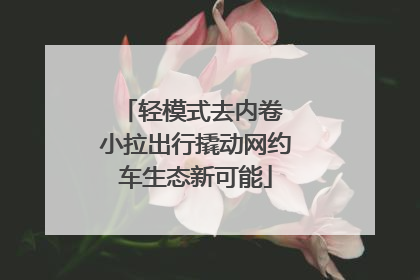 轻模式去内卷 小拉出行撬动网约车生态新可能