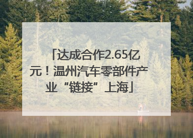 达成合作2.65亿元！温州汽车零部件产业“链接”上海