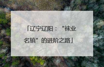 辽宁辽阳：“袜业名镇”的进阶之路