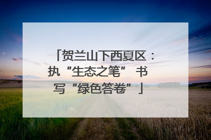 贺兰山下西夏区：执“生态之笔” 书写“绿色答卷”