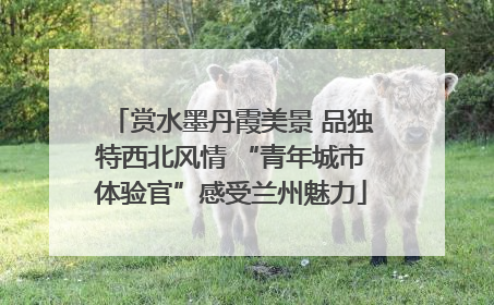 赏水墨丹霞美景 品独特西北风情 “青年城市体验官”感受兰州魅力