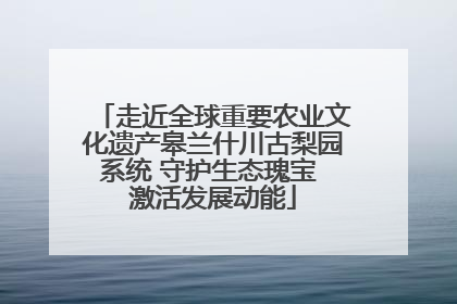 走近全球重要农业文化遗产皋兰什川古梨园系统 守护生态瑰宝 激活发展动能