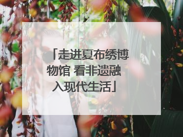 走进夏布绣博物馆 看非遗融入现代生活
