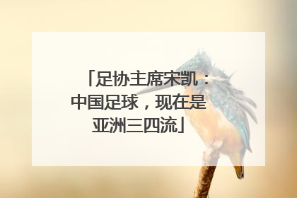 足协主席宋凯：中国足球，现在是亚洲三四流