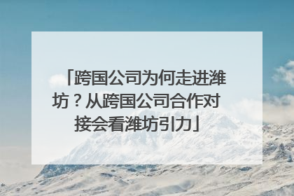 跨国公司为何走进潍坊？从跨国公司合作对接会看潍坊引力