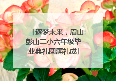 逐梦未来，眉山彭山二小六年级毕业典礼圆满礼成