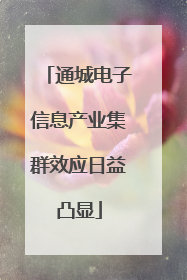 通城电子信息产业集群效应日益凸显