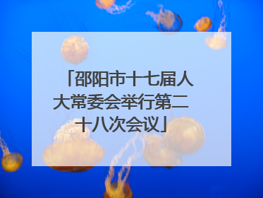 邵阳市十七届人大常委会举行第二十八次会议