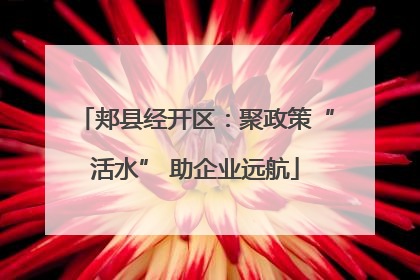郏县经开区：聚政策“活水” 助企业远航