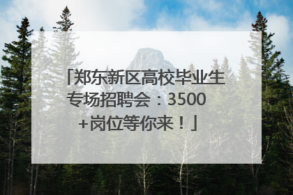 郑东新区高校毕业生专场招聘会：3500+岗位等你来！