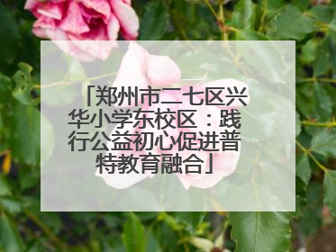 郑州市二七区兴华小学东校区：践行公益初心促进普特教育融合