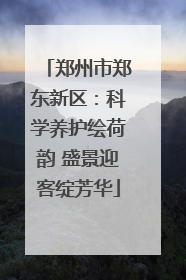 郑州市郑东新区：科学养护绘荷韵 盛景迎客绽芳华