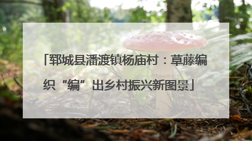 郓城县潘渡镇杨庙村：草藤编织“编”出乡村振兴新图景