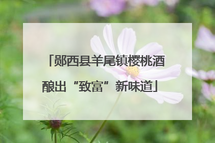 郧西县羊尾镇樱桃酒酿出“致富”新味道