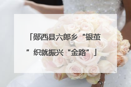 郧西县六郎乡“银茧”织就振兴“金路”