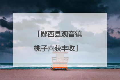 郧西县观音镇桃子喜获丰收