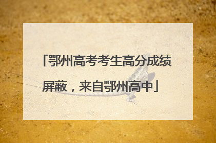 鄂州高考考生高分成绩屏蔽，来自鄂州高中