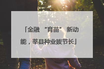 金融 “育苗” 新动能，莘县种业拔节长