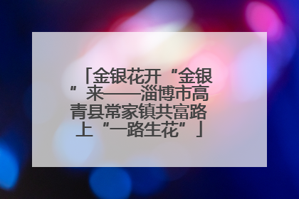 金银花开“金银”来——淄博市高青县常家镇共富路上“一路生花”