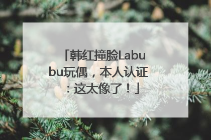 韩红撞脸Labubu玩偶，本人认证：这太像了！