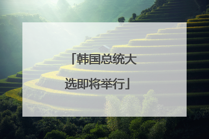 韩国总统大选即将举行