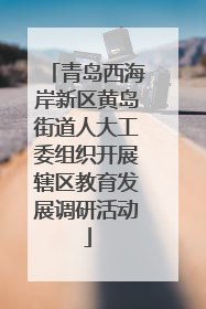 青岛西海岸新区黄岛街道人大工委组织开展辖区教育发展调研活动