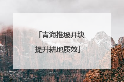 青海推坡并块提升耕地质效