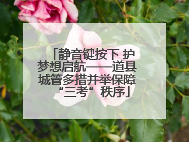 静音键按下 护梦想启航——道县城管多措并举保障“三考”秩序
