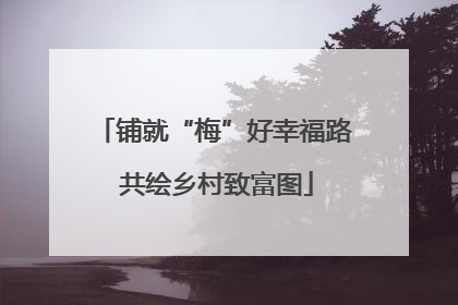 铺就“梅”好幸福路 共绘乡村致富图