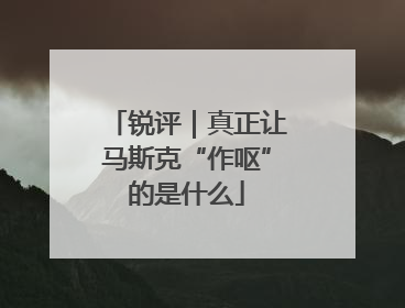 锐评｜真正让马斯克“作呕”的是什么
