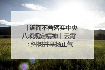 锲而不舍落实中央八项规定精神丨云霄：纠树并举扬正气 作风建设谱新章