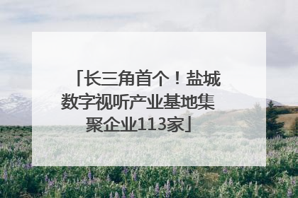 长三角首个！盐城数字视听产业基地集聚企业113家