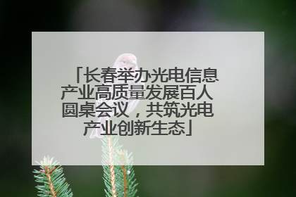 长春举办光电信息产业高质量发展百人圆桌会议，共筑光电产业创新生态
